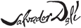 Salvador Dali Salvador Dali