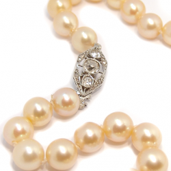Colar de Pérolas - Feminino - com fecho em ouro branco 18k Colar de Pérolas - Feminino - com fecho em ouro branco 18k