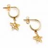 Brinco em ouro amarelo 18k feminino - Estrela Brinco em ouro amarelo 18k feminino - Estrela