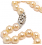 Colar de Pérolas - Feminino - com fecho em ouro branco 18k Colar de Pérolas - Feminino - com fecho em ouro branco 18k