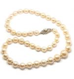 Colar de Pérolas com fecho em ouro 18k - Feminino Colar de Pérolas com fecho em ouro 18k - Feminino
