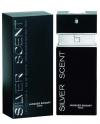 Perfume Silver Scent Masculino Eau de Toilette 30ml Perfume Silver Scent Masculino Eau de Toilette 30ml