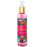 Perfume Splash Exotic Chic Fiorucci Feminino Deo Colônia 200ml Perfume Splash Exotic Chic Fiorucci Feminino Deo Colônia 200ml